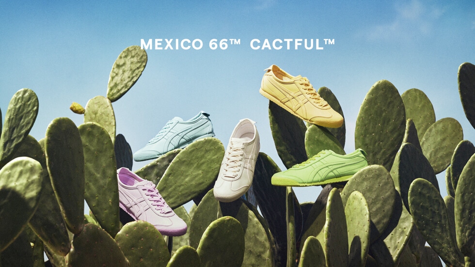取自仙人掌的”MEXICO 66 CACTFUL”诞生了