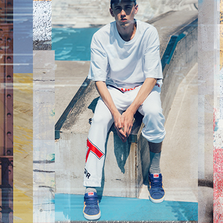 onitsuka tiger netherlands