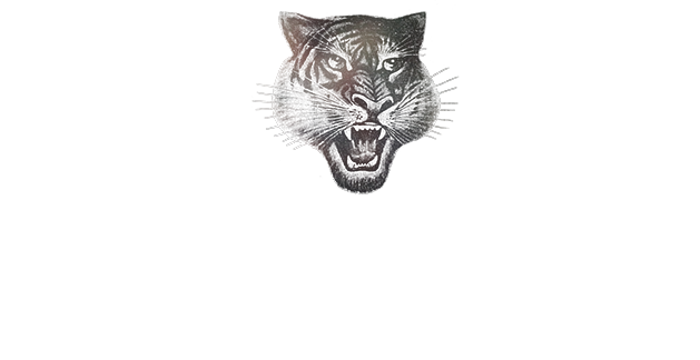 onitsuka tiger international